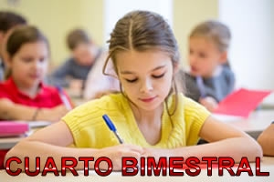 RESULTADOS DE IV EXAMEN BIMESTRAL  - SJM